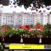 Vyhodnotenie súťaže o "Najkrajší balkón / predzáhradku sídliska KVP 2015"